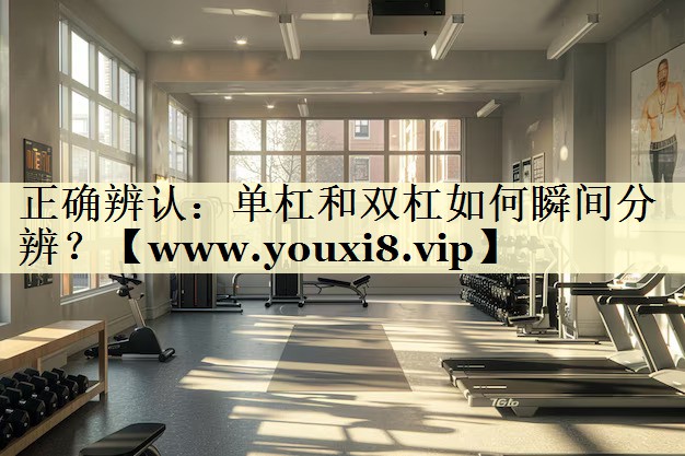 正确辨认：单杠和双杠如何瞬间分辨？