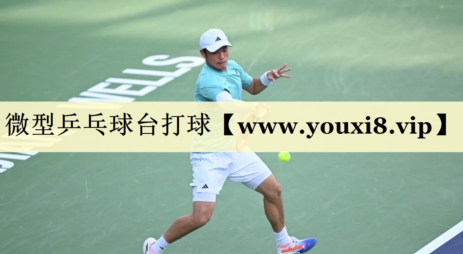 微型乒乓球台打球 微型乒乓球台打球